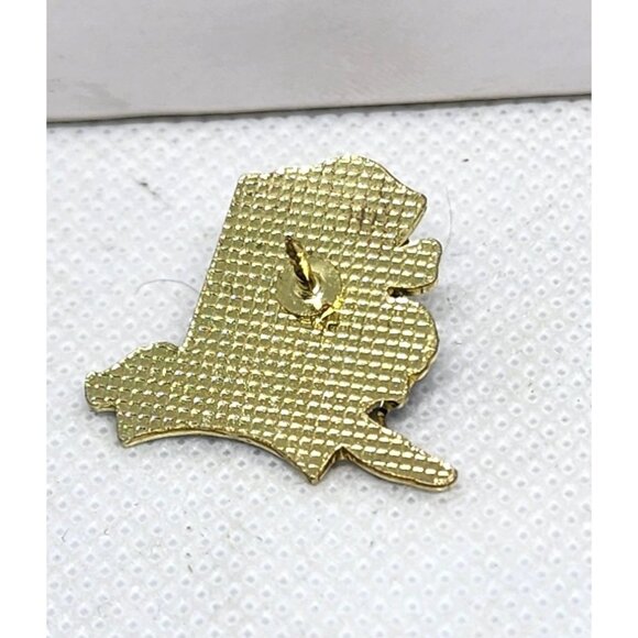 Alaska State Outline Enamel Lapel Pin With Gold-Tone Design & Star Detailing - Picture 5 of 6